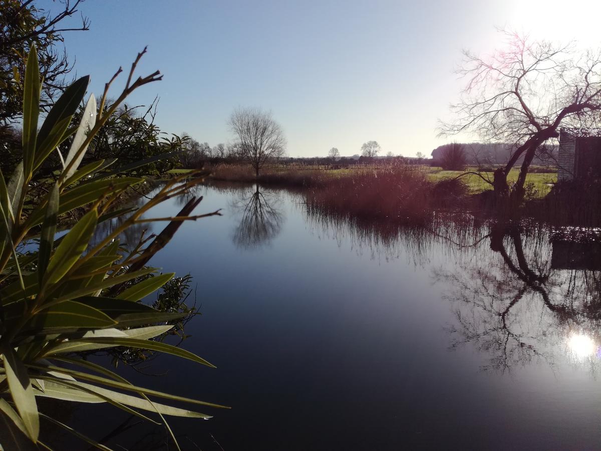 Logis Hotel Le Moulin De Chalons Le Guâ エクステリア 写真